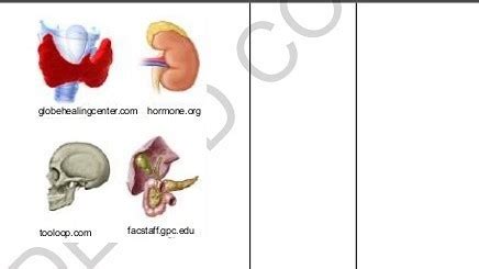 what is odd organ out .
